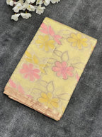 Borderless Pure Mango Silk Saree